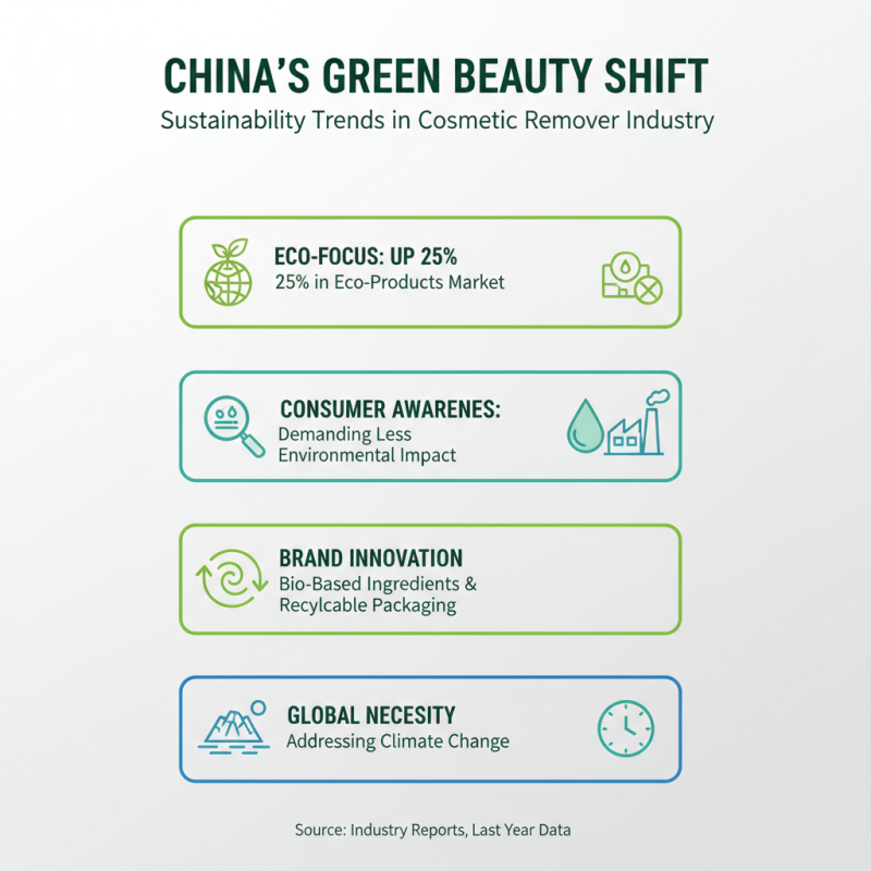 Top 10 Cosmetic Removers in China You Should Try?