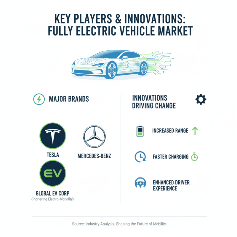 2026 Best Fully Electric Cars for Global Buyers to Consider