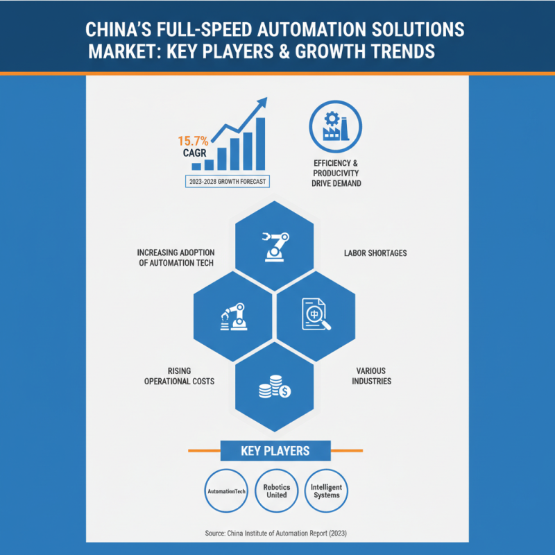 China Top Full Speed Automation Solutions for Global Buyers?