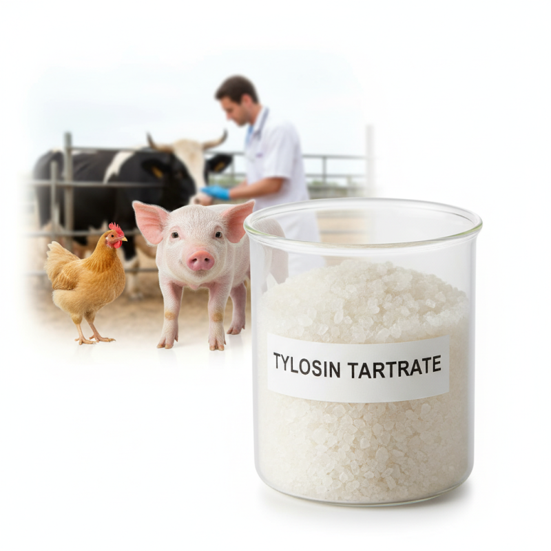 What is Tylosin Tartrate and How is it Used Globally?