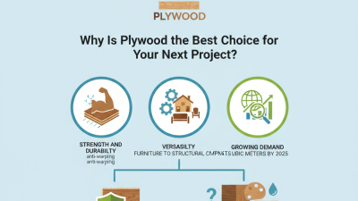 Why Is Plywood the Best Choice for Your Next Project?