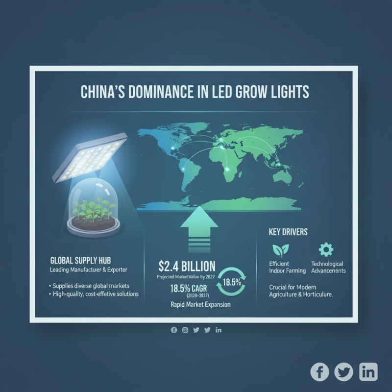 China Top LED Grow Lights for Global Buyers What to Know?