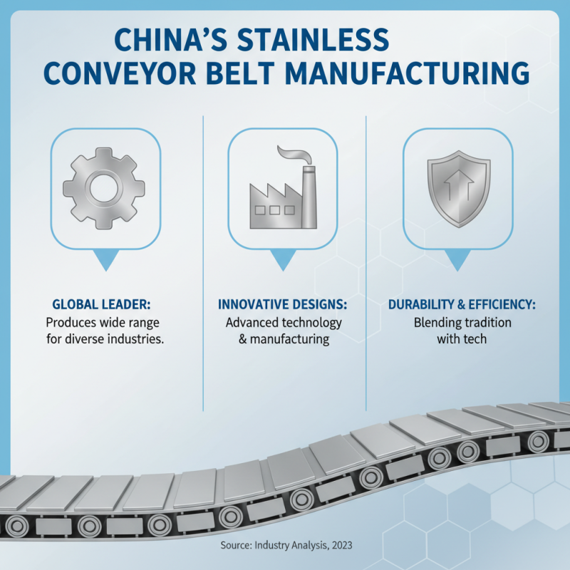 Top China Best Stainless Conveyor Belt for Global Buyers?