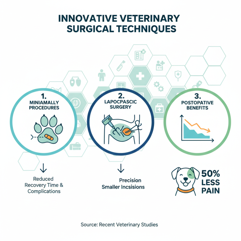 10 Best Veterinary Surgical Specialists You Should Know?
