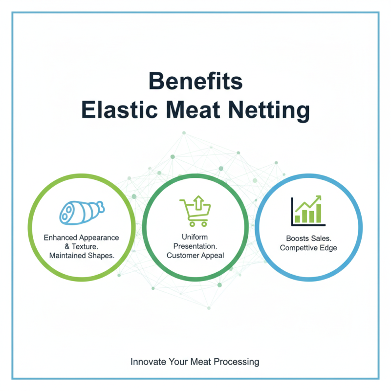 China Top Elastic Meat Netting Innovations and Applications?