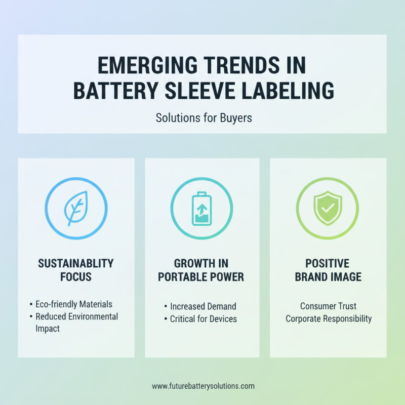 2026 Best Battery Sleeve Labing Solutions for Global Buyers?