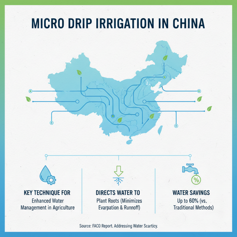 China Top Micro Drip Irrigation Techniques for Efficient Water Management?