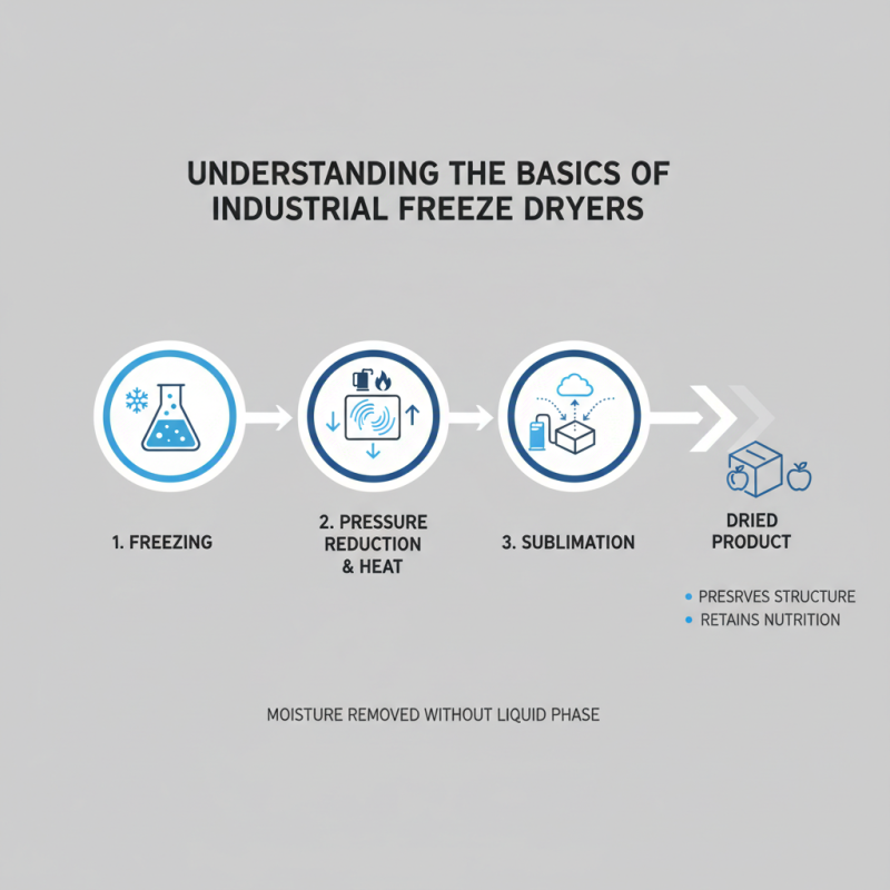 How to Choose the Best Industrial Freeze Dryer for Your Needs?