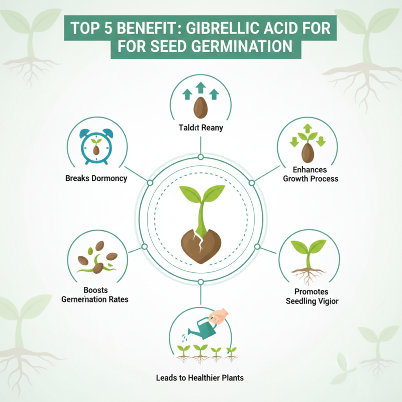 Top 5 Benefits of Gibberellic Acid for Seed Germination?