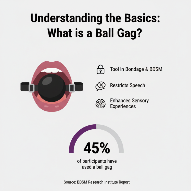 Top 10 Ball Gag Styles for Beginners and Enthusiasts?