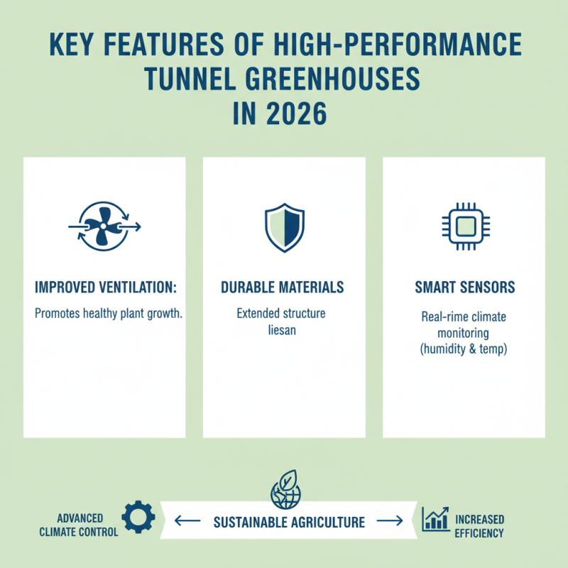2026 Best Tunnel Greenhouse Solutions for Global Buyers?