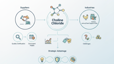 How to Source Wholesale Choline Chloride for Your Business?