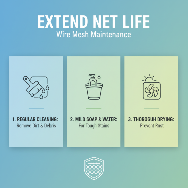Top 10 Best Wire Mesh Nets for Home and Garden Use?