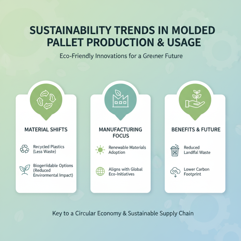 2026 Best Molded Pallet Options for Global Buyers Guide?