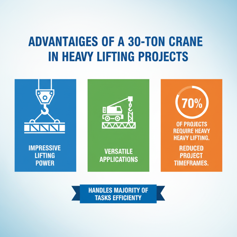 Top Benefits of Using a 30 Ton Crane for Your Projects?