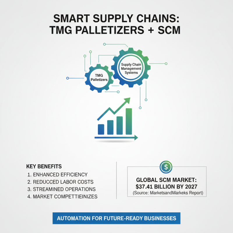 Top Tmg Palletizer Solutions for Efficient Global Procurement?