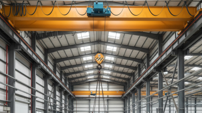 What is an Indoor Crane and How Does It Work?