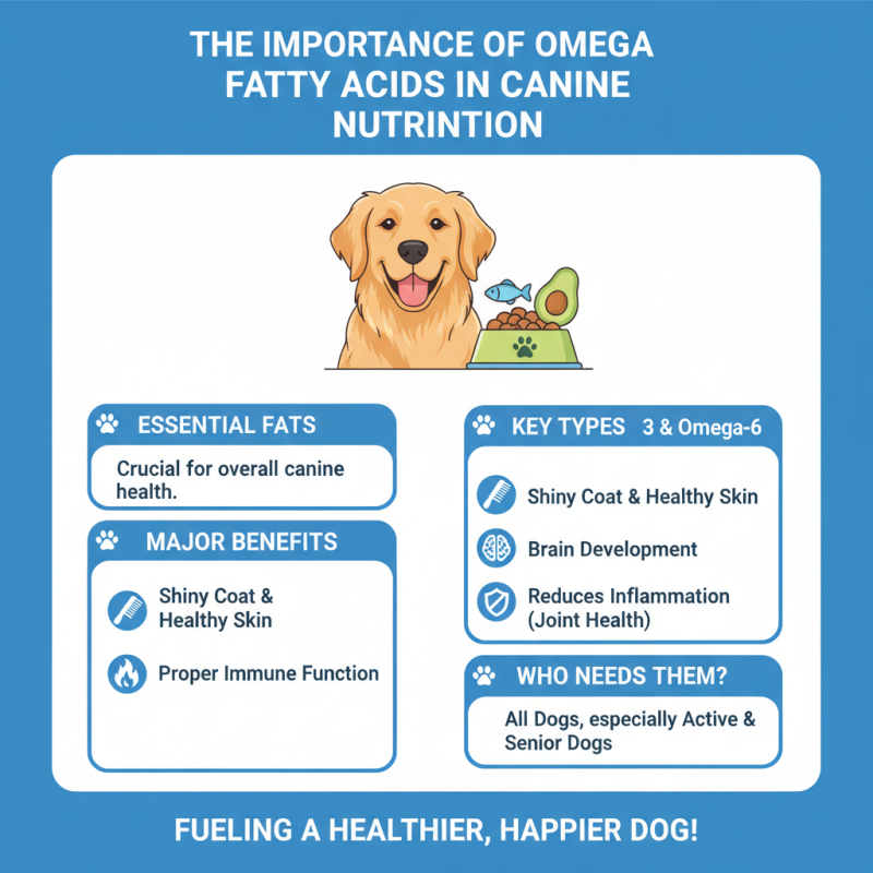 Top 10 Good Dog Food Options for a Healthy Happy Pet?