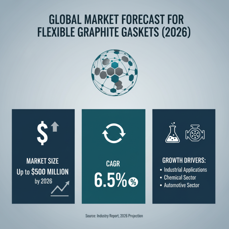 2026 Best Flexible Graphite Gasket for Global Buyers?