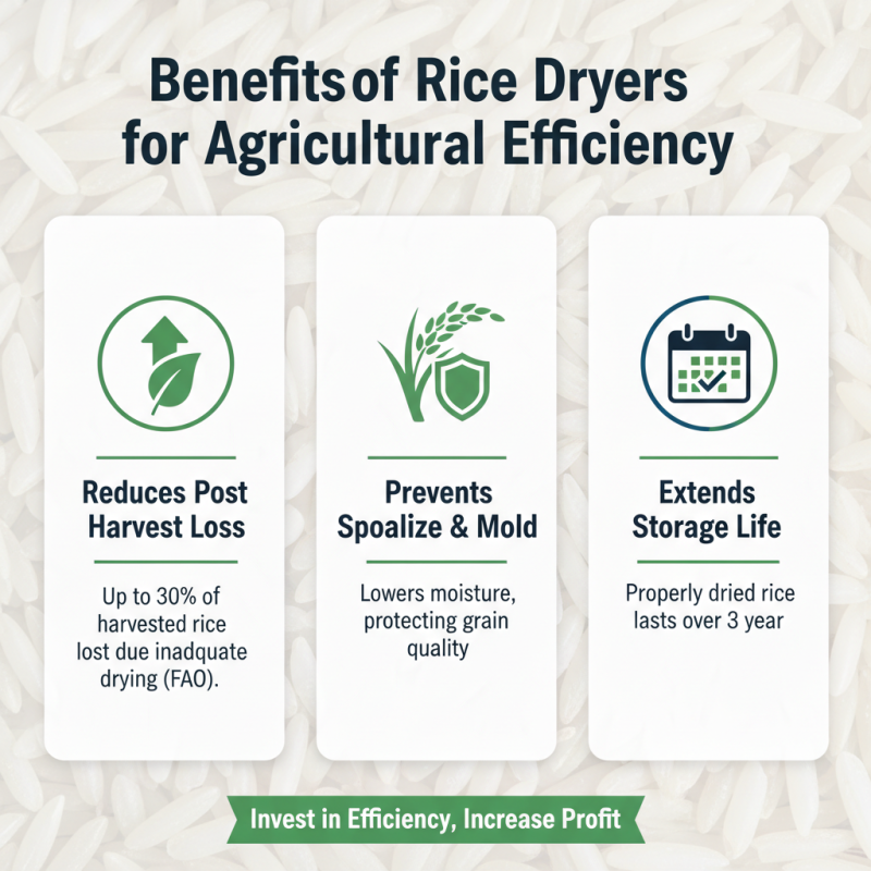 Why Invest in a Rice Dryer for Your Business Needs?