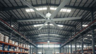 7.3m Large Industrial Fan Best Options for Your Needs?