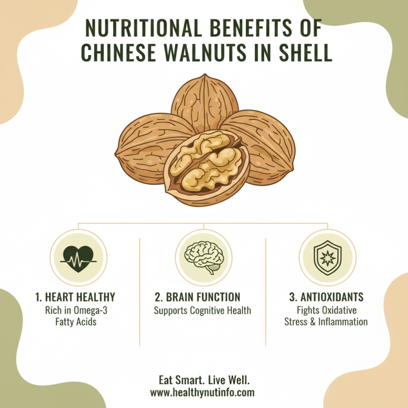 China Top 10 Walnuts In Shell Varieties You Need to Know?