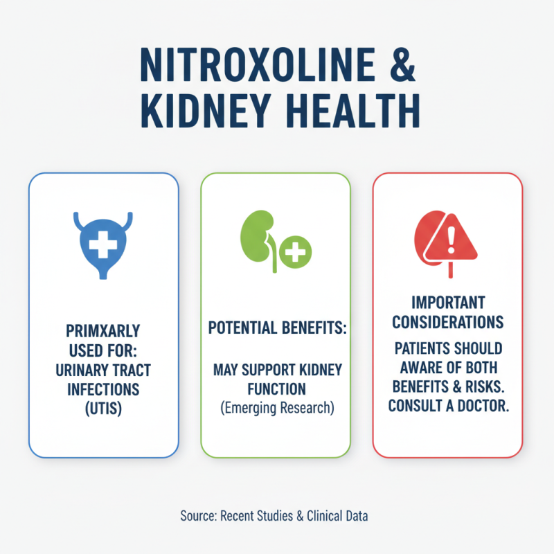 Does Nitroxoline Impact Kidney Function in Patients?