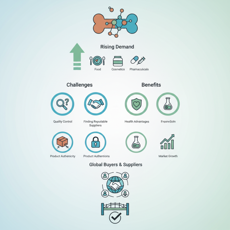 2026 Best Bone Gelatin for Global Buyers and Suppliers?