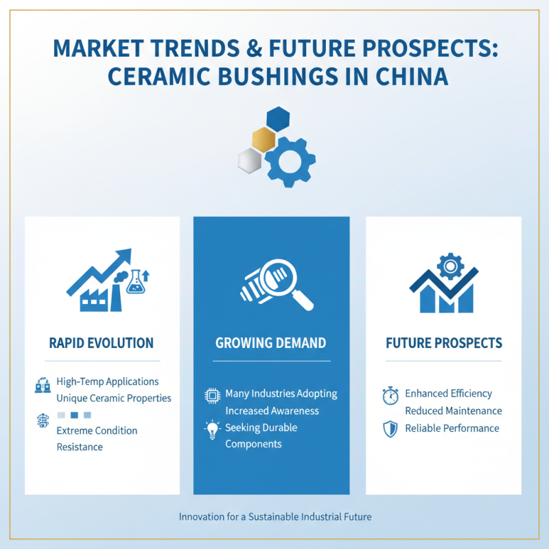 China Best High Temperature Ceramic Bushings for Industry Applications?