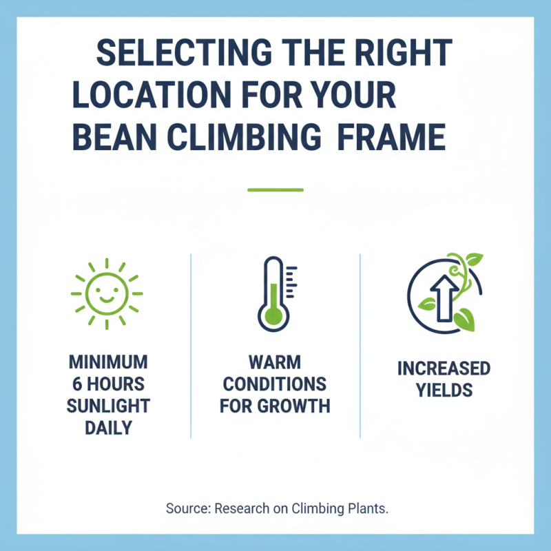 Why Choose Runner Bean Support Climbing Frame for Your Garden?