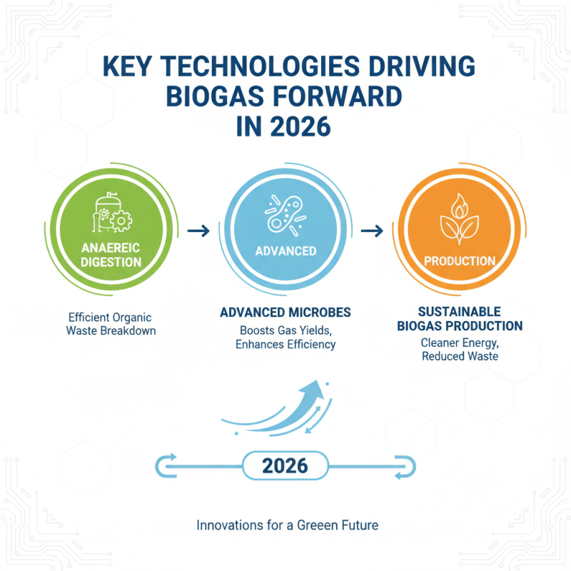 2026 Top Bio Gas Generator Innovations and Technologies Explained?