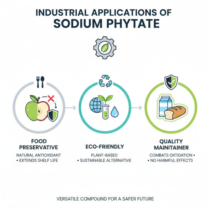 What is Sodium Phytate and Its Benefits for Buyers?