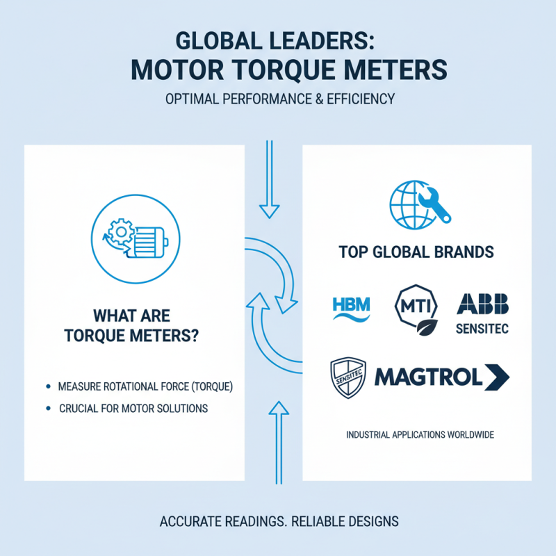 Best Torque Meter for Motor Solutions Available Worldwide?
