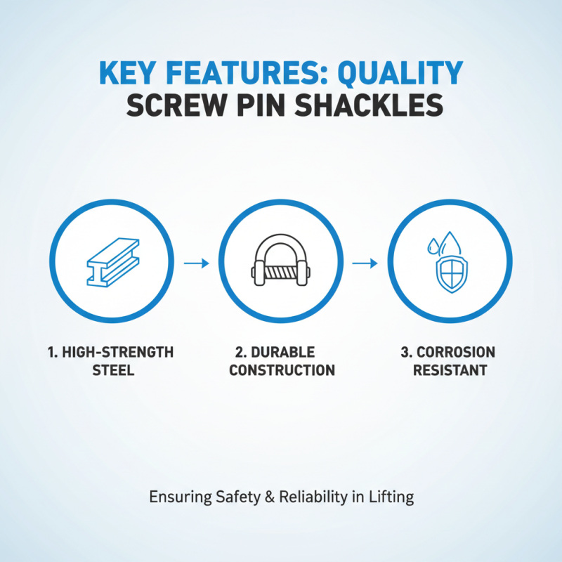 Best Screw Pin Shackles for Secure Lifting Solutions?