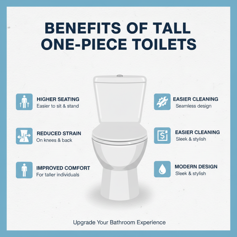 Best Tall One Piece Toilet Options for Comfort and Style?