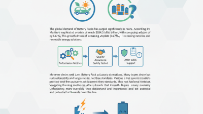 Best Battery Pack Options for Global Buyers?