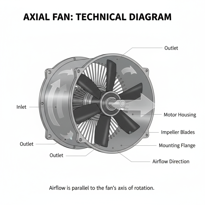 2026 Лучшие осевые вентиляторы для мировых закупок?