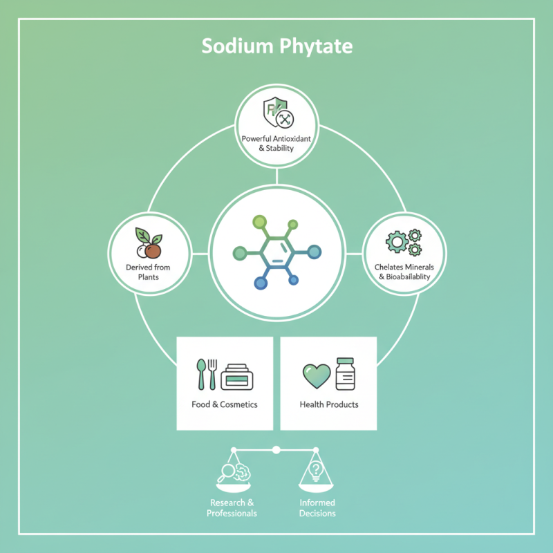 What is Sodium Phytate and Its Benefits for Buyers?