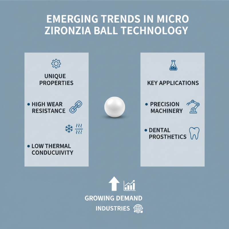 China Top 10 Micro Zirconia Ball Applications and Innovations?