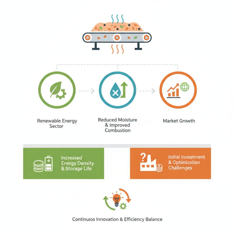 What Are Belt Dryers For Biomass and How Do They Work?