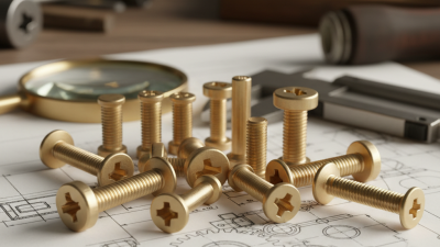 Top Custom Brass Screws for Your Project Needs?