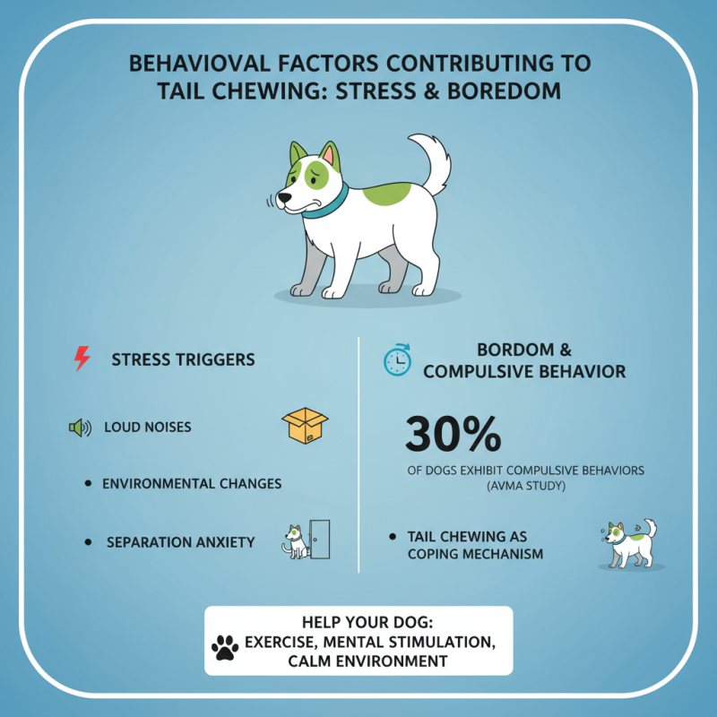 Why Does My Dog Chew Its Tail and How to Stop It?