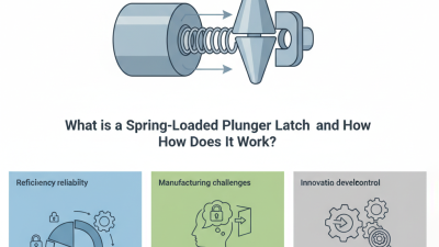 What is a Spring-Loaded Plunger Latch and How Does It Work?