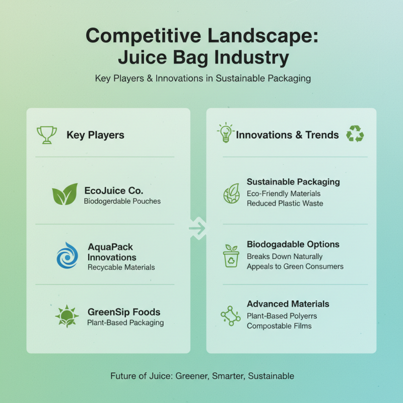 Top 10 Juice Bag Options for Global Buyers in 2026?