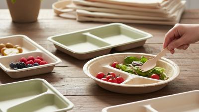 Top Benefits of Choosing Biodegradable Disposable Trays?