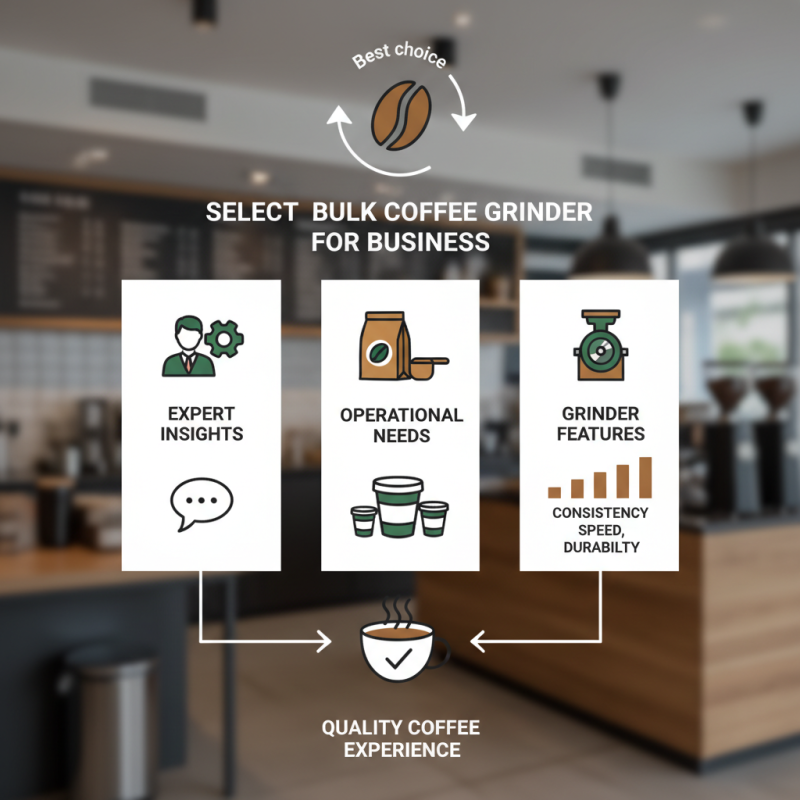 Best Bulk Coffee Grinder for Your Business Needs?
