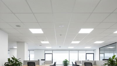 Why Choose T-Bar Ceiling Grid for Your Next Project?