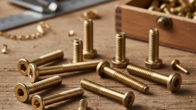 How to Choose Custom Brass Screws for Your Project Needs?