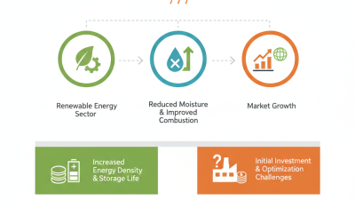 What Are Belt Dryers For Biomass and How Do They Work?