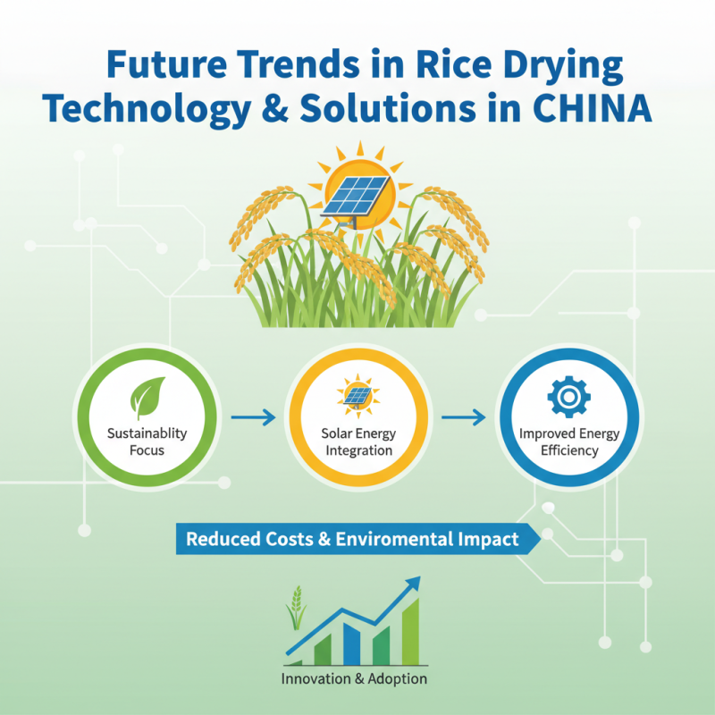 Top China Best Rice Dryer Solutions for Global Buyers?